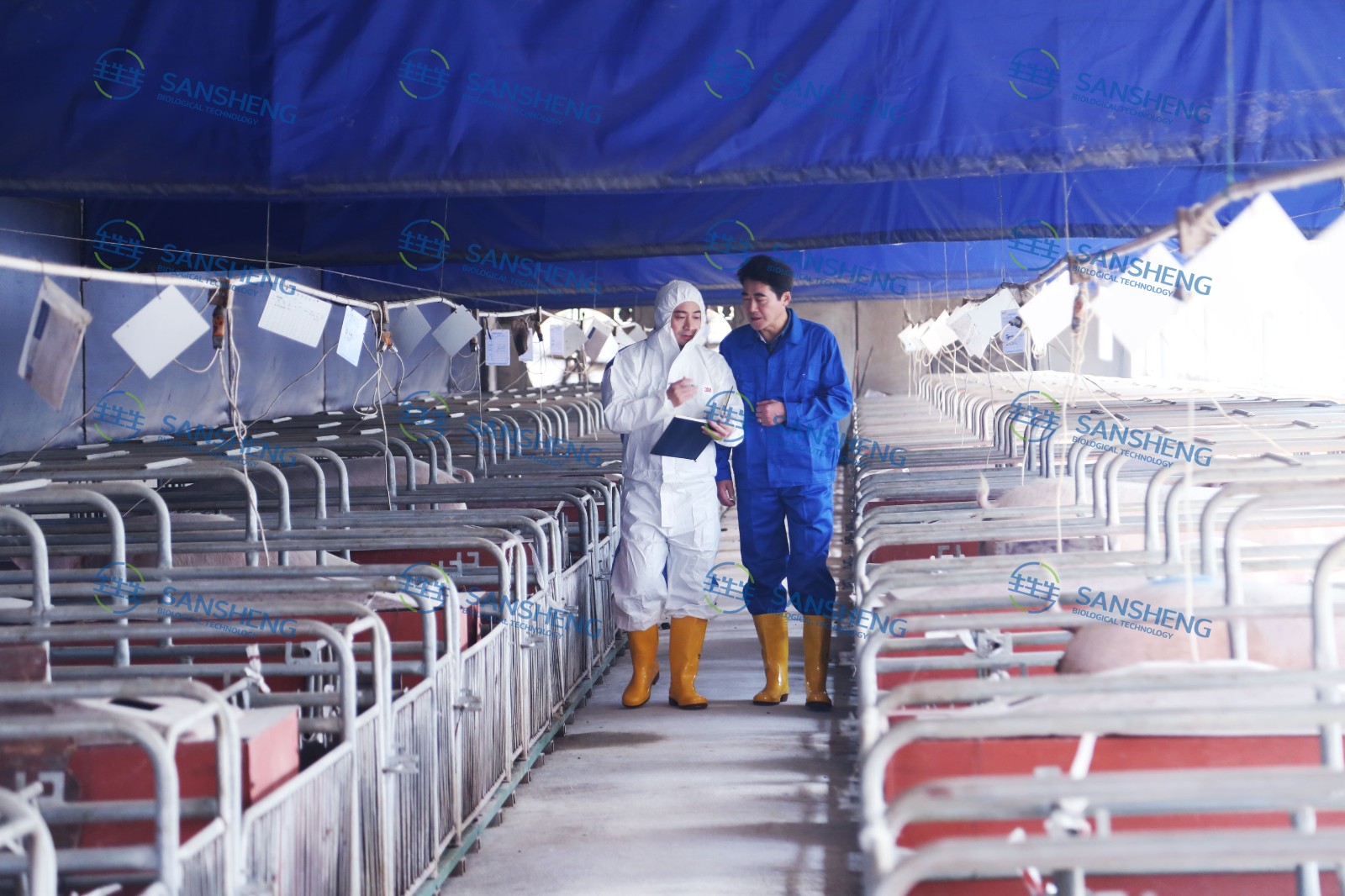 中国养猪网宁波三生生物共建栏目