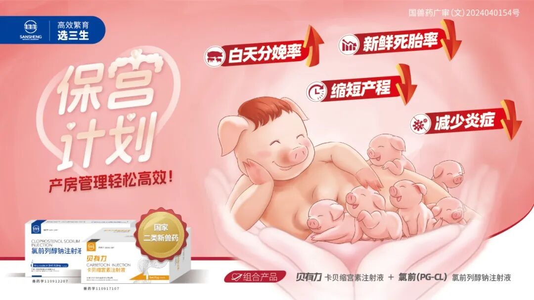 技术锦囊 母猪 “保宫计划” 