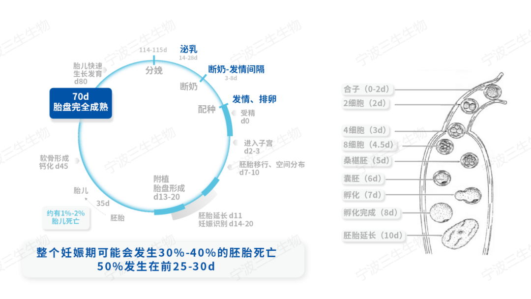 中国养猪网宁波三生生物共建栏目