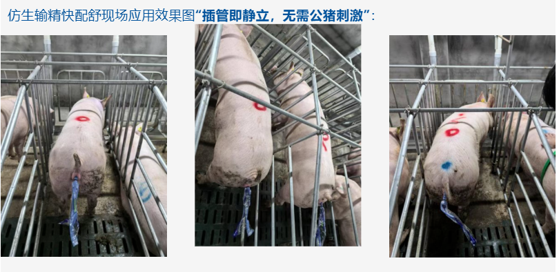 中国养猪网宁波三生生物共建栏目
