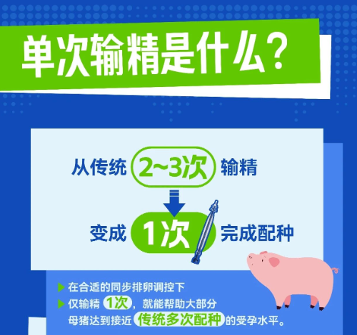 中国养猪网宁波三生生物共建栏目